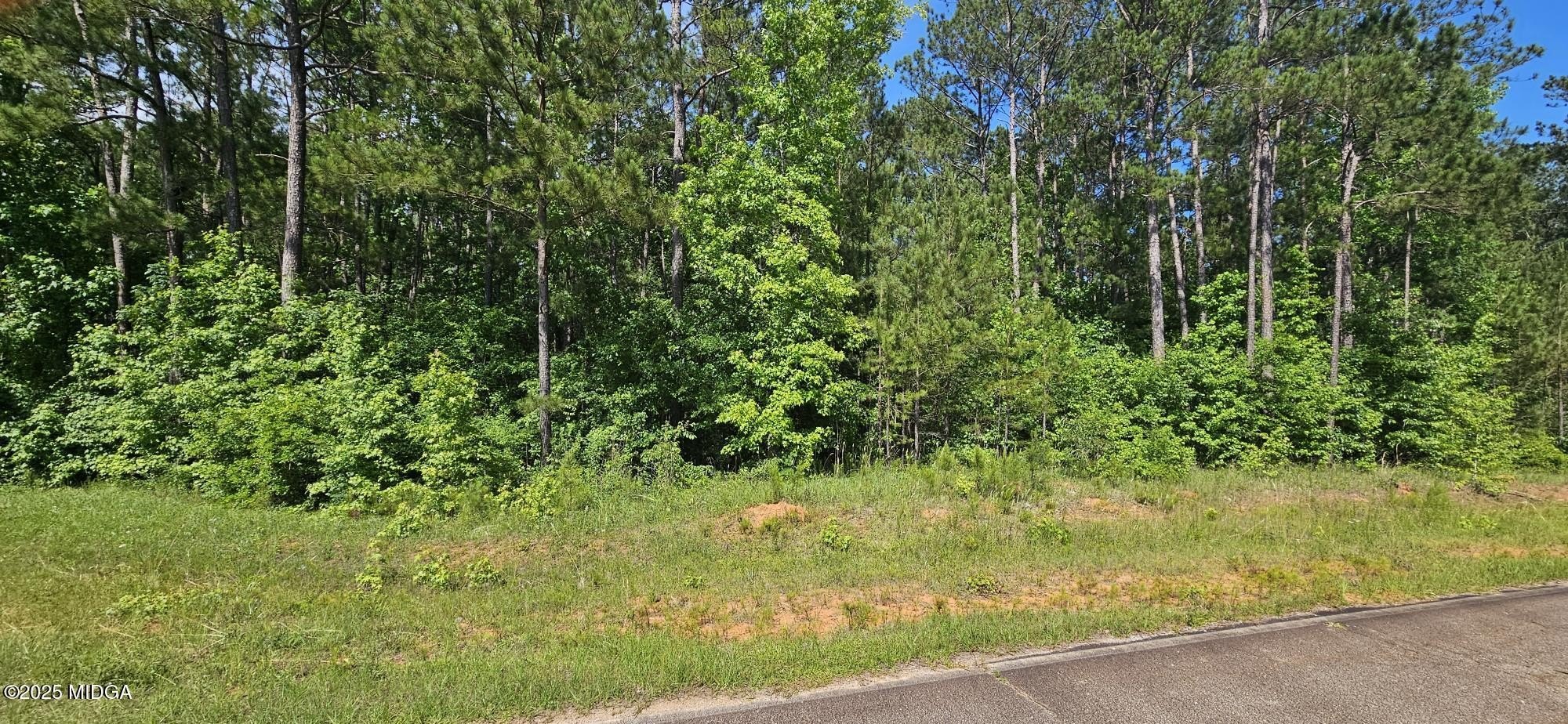 Residential Land in Jones County