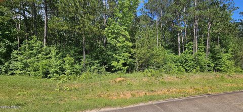 Residential Lot in Gray, GA