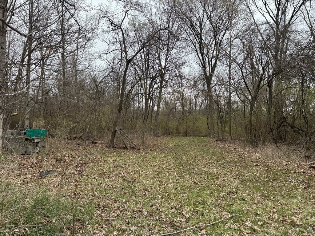 Picture 3