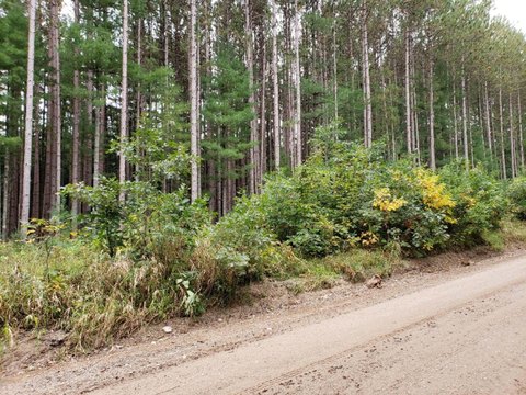 Leroy Buildable Lot with Pole Barn