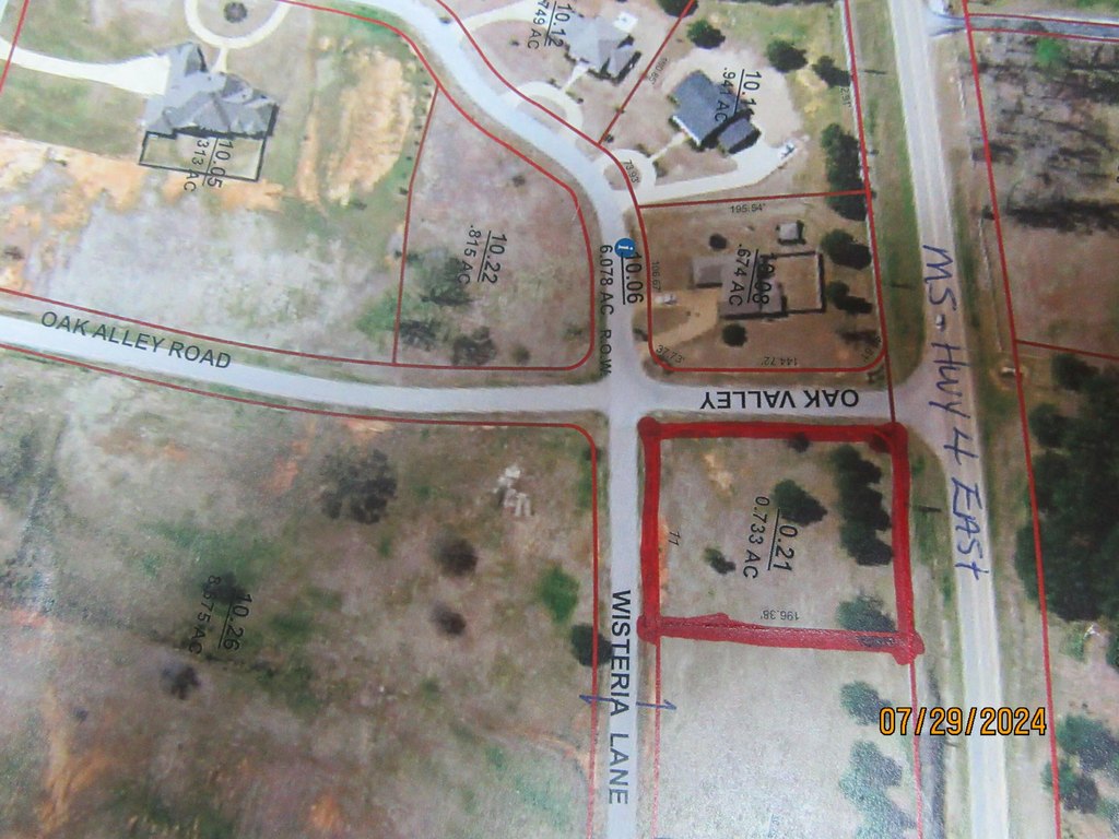 Picture 4