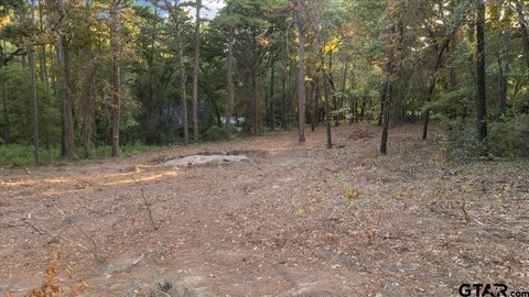 Land, Flint, TX