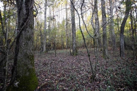 Land, Social Circle, GA