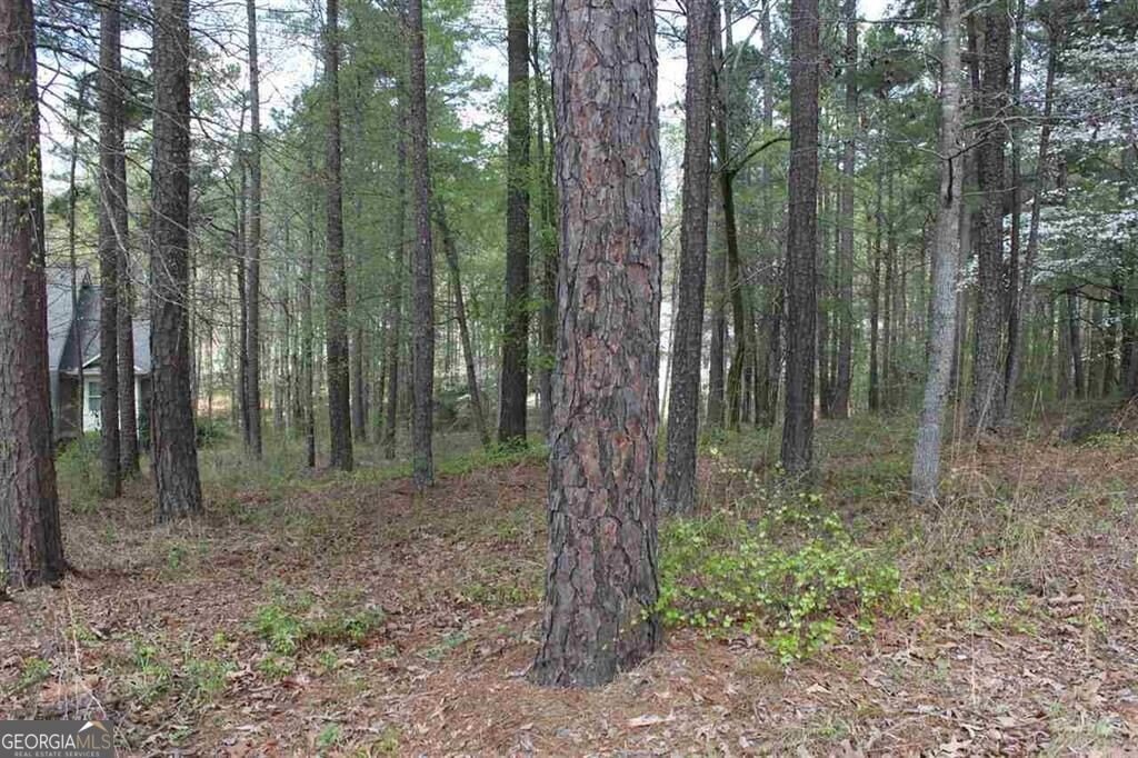 Picture 6
