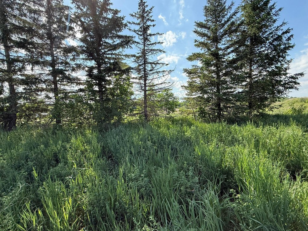 Picture 4