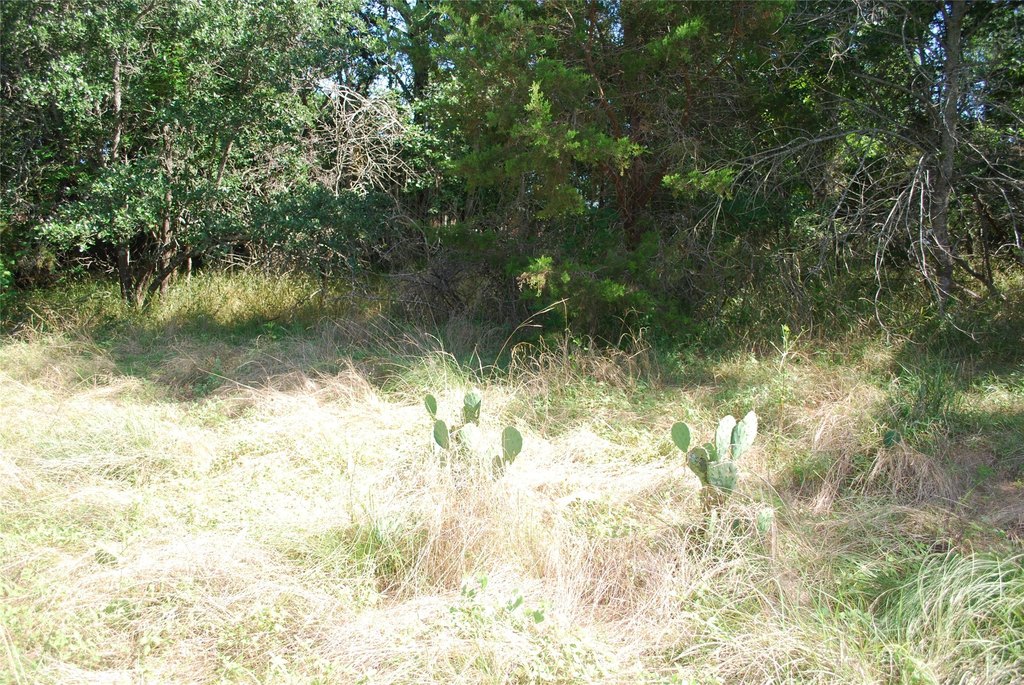 Picture 9