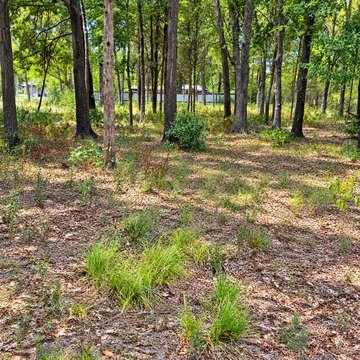 Land, Malakoff, TX