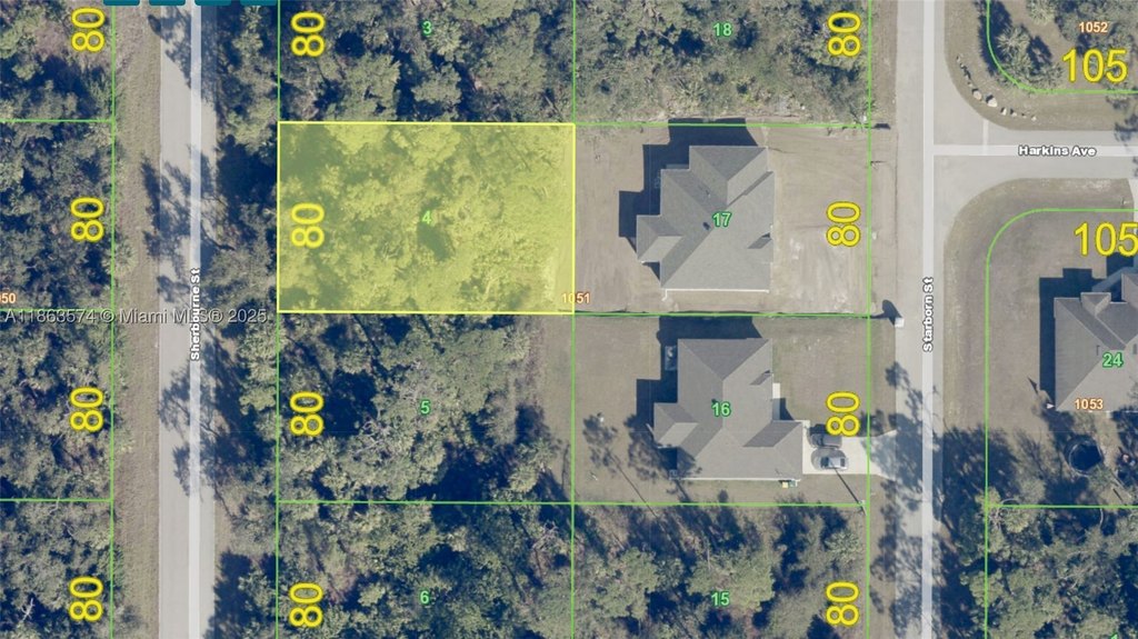 Picture 5