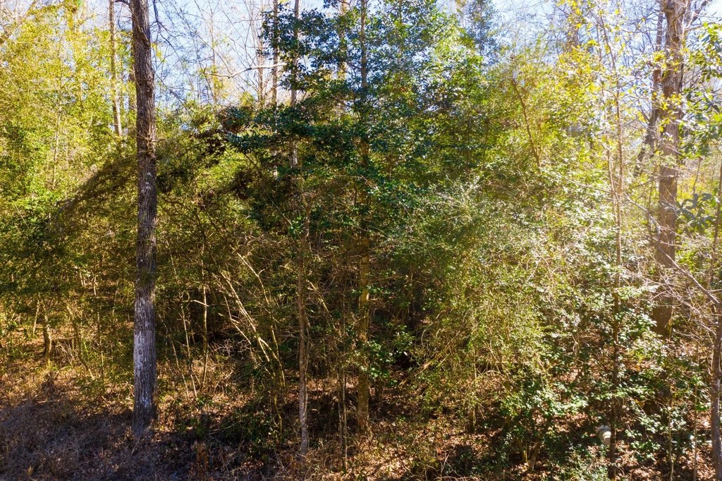 Picture 25