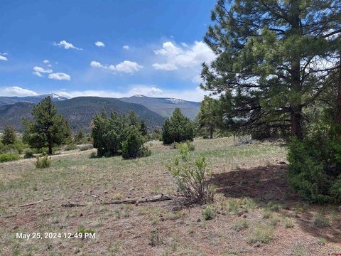 Land in South Fork, CO