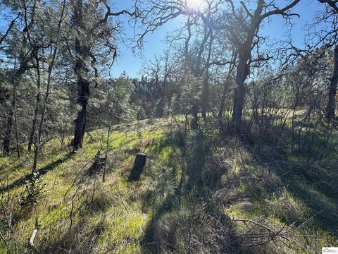 Rancho Tehama Reserve Land