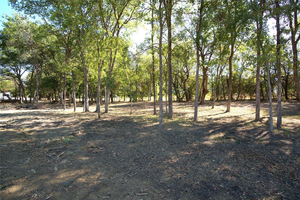 Picture 10