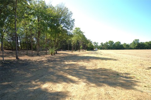 Land, Paris, TX