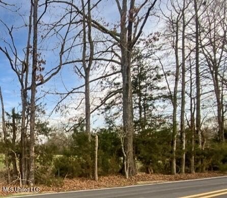 40 Acres in Developing Brandon