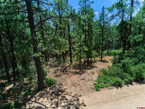 LAND, Bayfield, CO