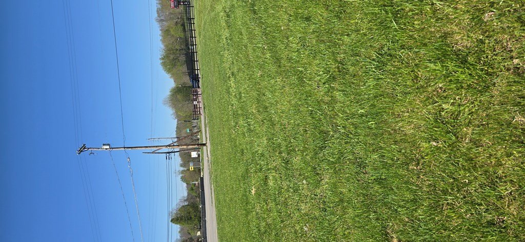 Picture 8