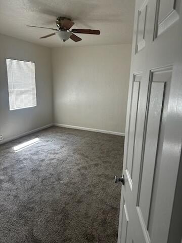 Picture 39