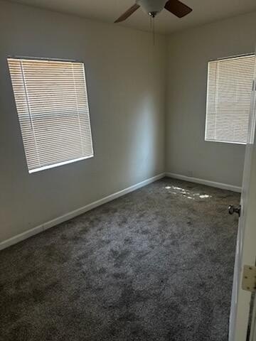 Picture 41