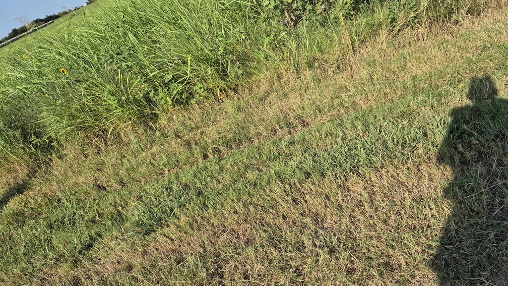 Picture 11