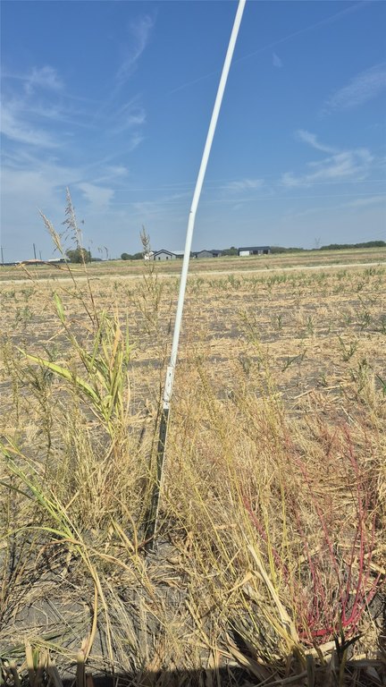 Picture 33