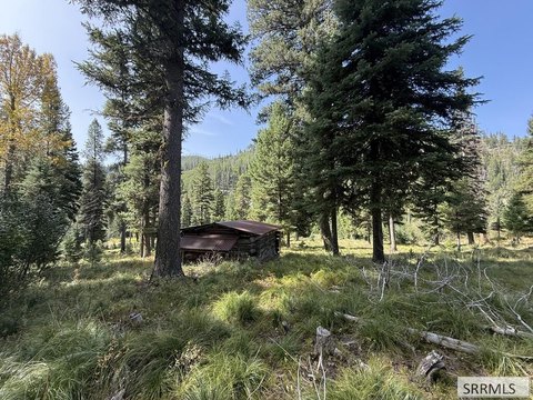 Land, Gibbonsville, ID