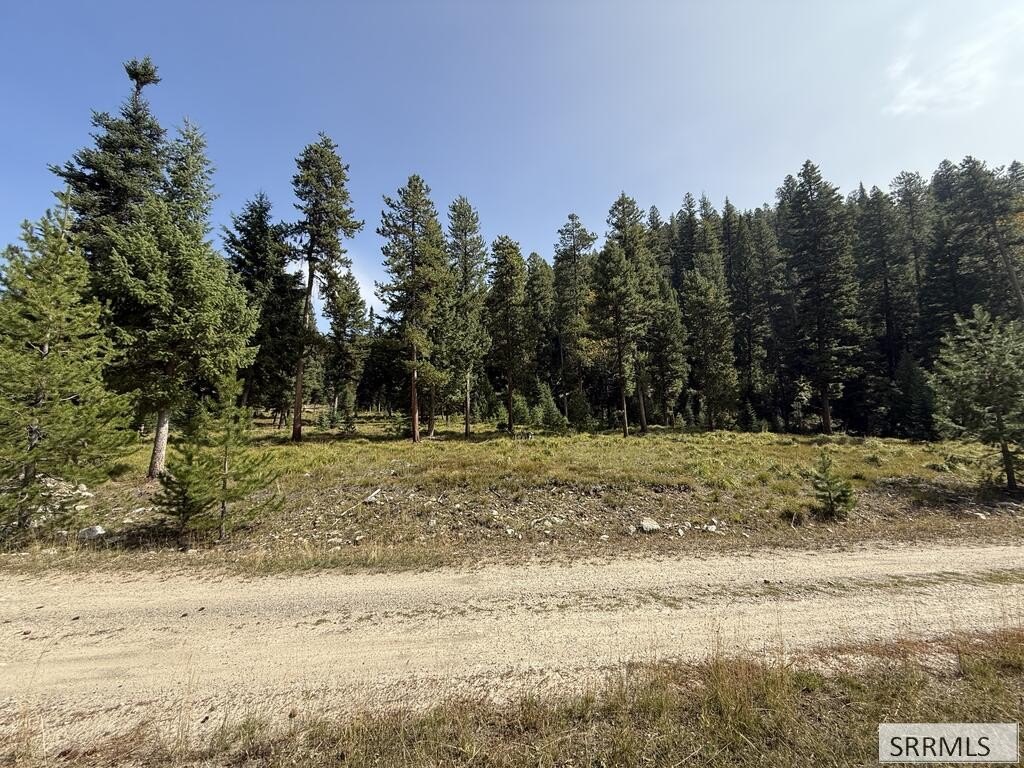 Picture 6