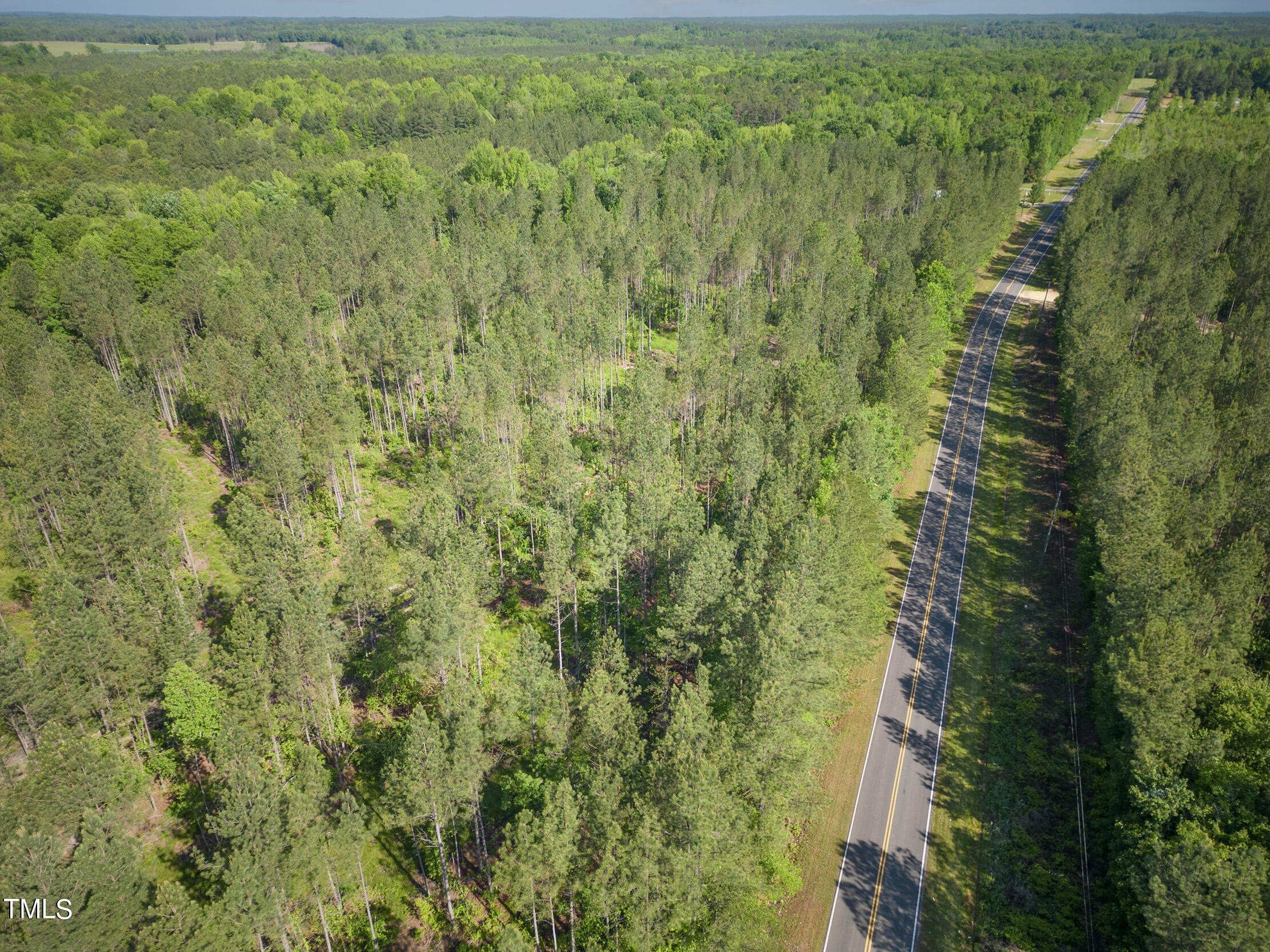222+ Acres Timber Tract