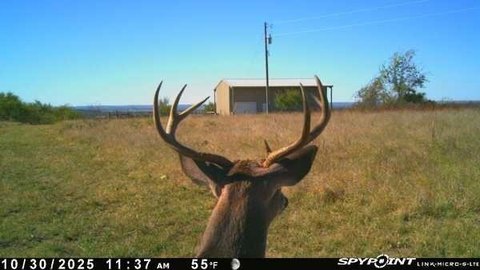 Dublin, TX RV Retreat Land