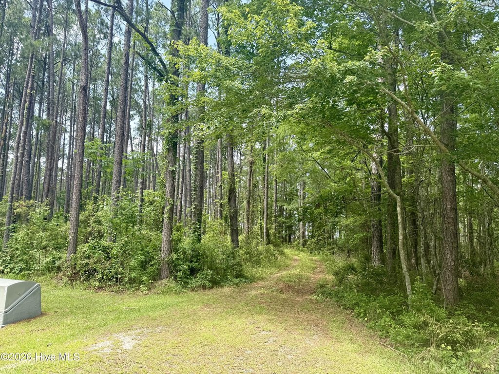 Picture 2
