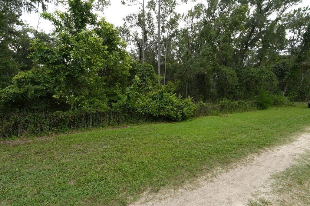 Picture 8