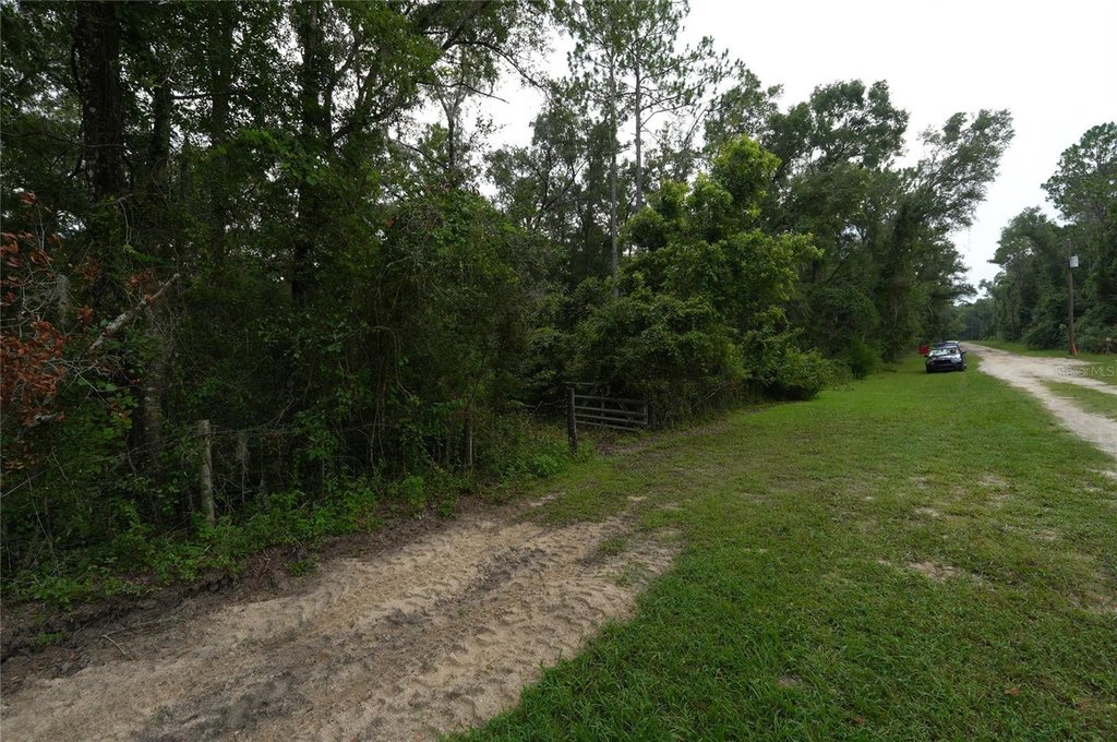 Picture 7