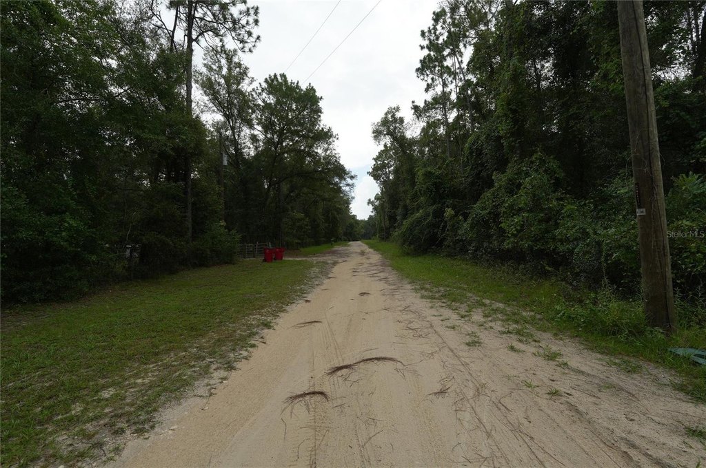 Picture 15