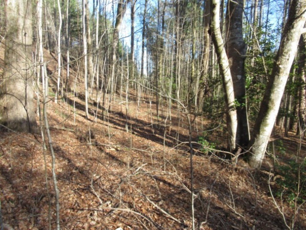 Picture 7