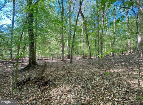 Wooded Land in Moyaone Reserve