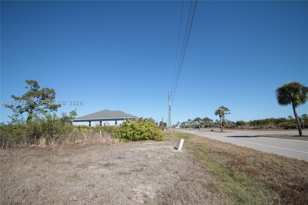 Picture 21