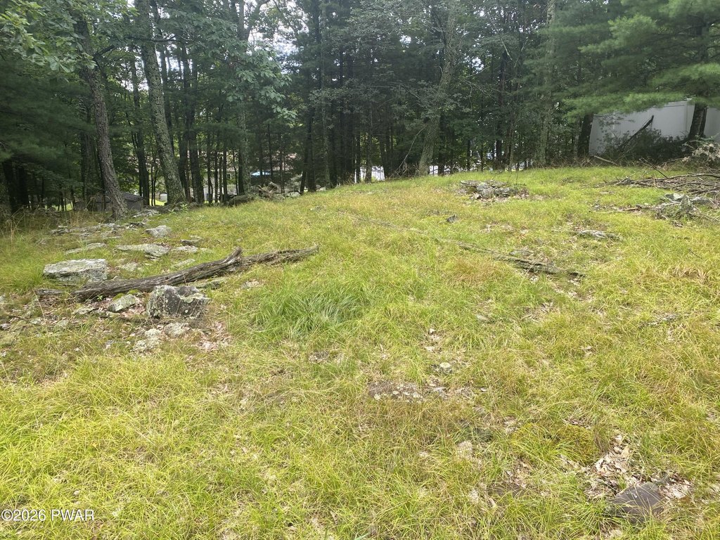 Picture 4