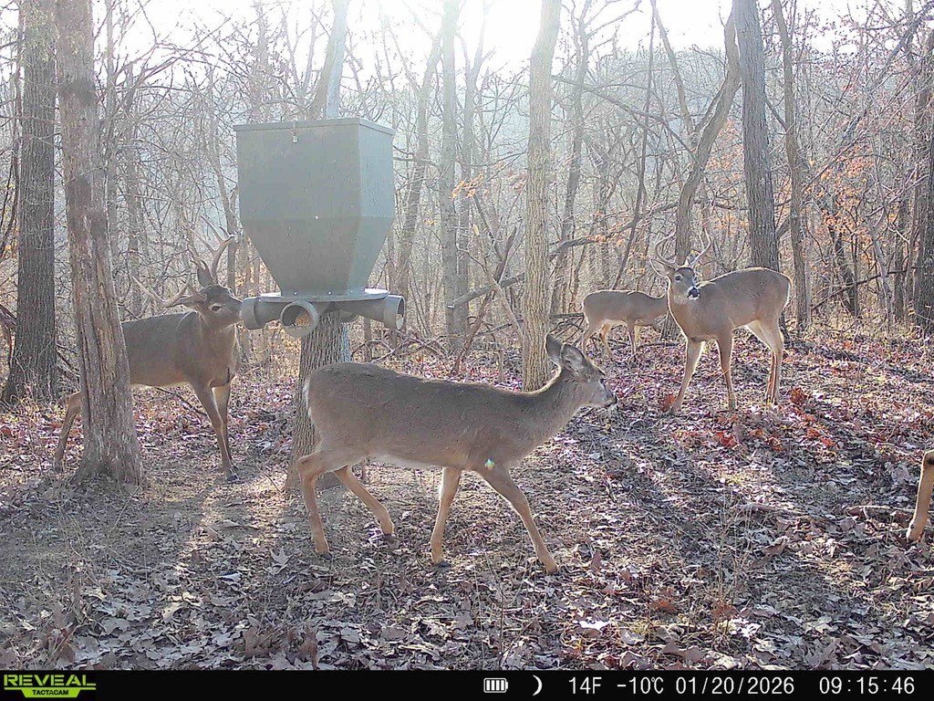 40 Acres Hunting Land in Ohio