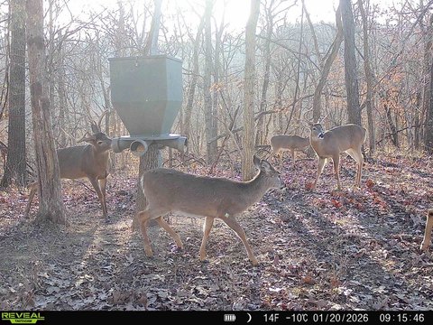 40 Acres Hunting Land in Ohio