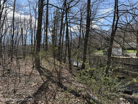 Wooded Land in Wilkes-Barre