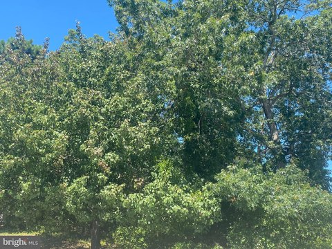 Vacant Lots in Ocean Acres