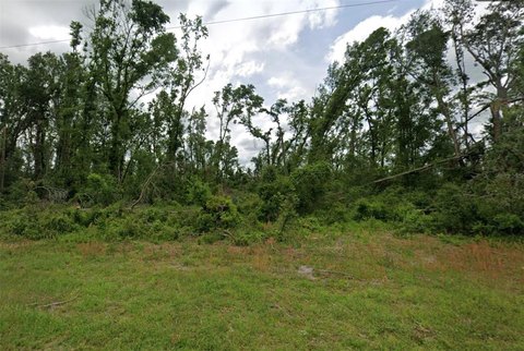 Land, MAYO, FL