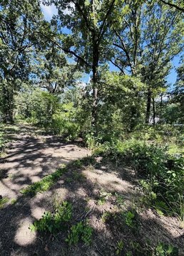 LAND - Grand Saline, TX