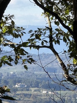 Land, Caldwell, WV