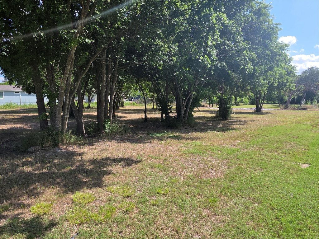 Picture 5