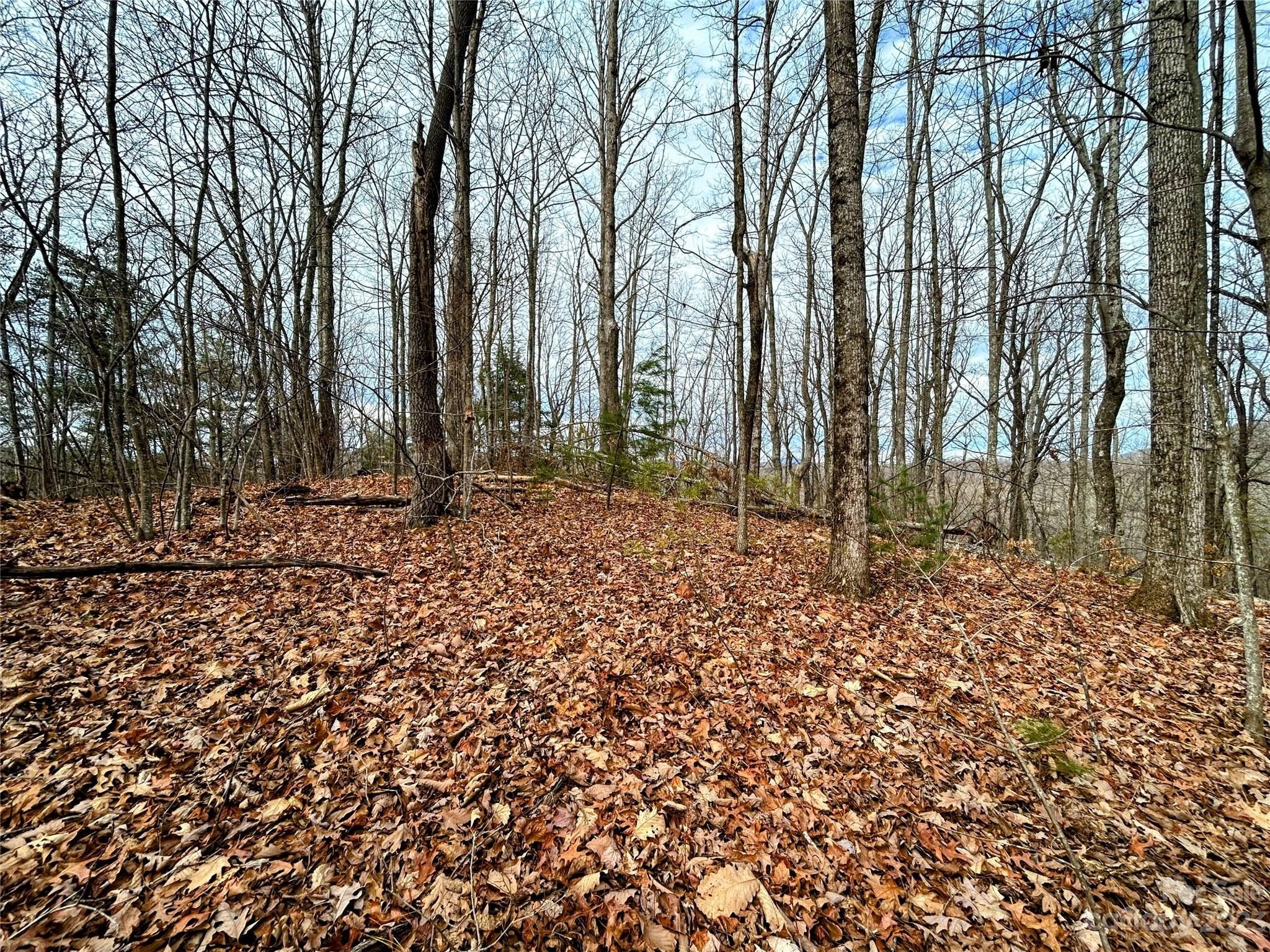 Land in Tranquil Saluda Setting