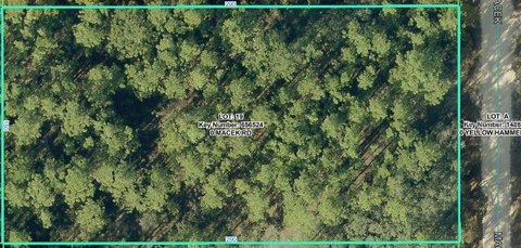 Land, WEEKI WACHEE, FL