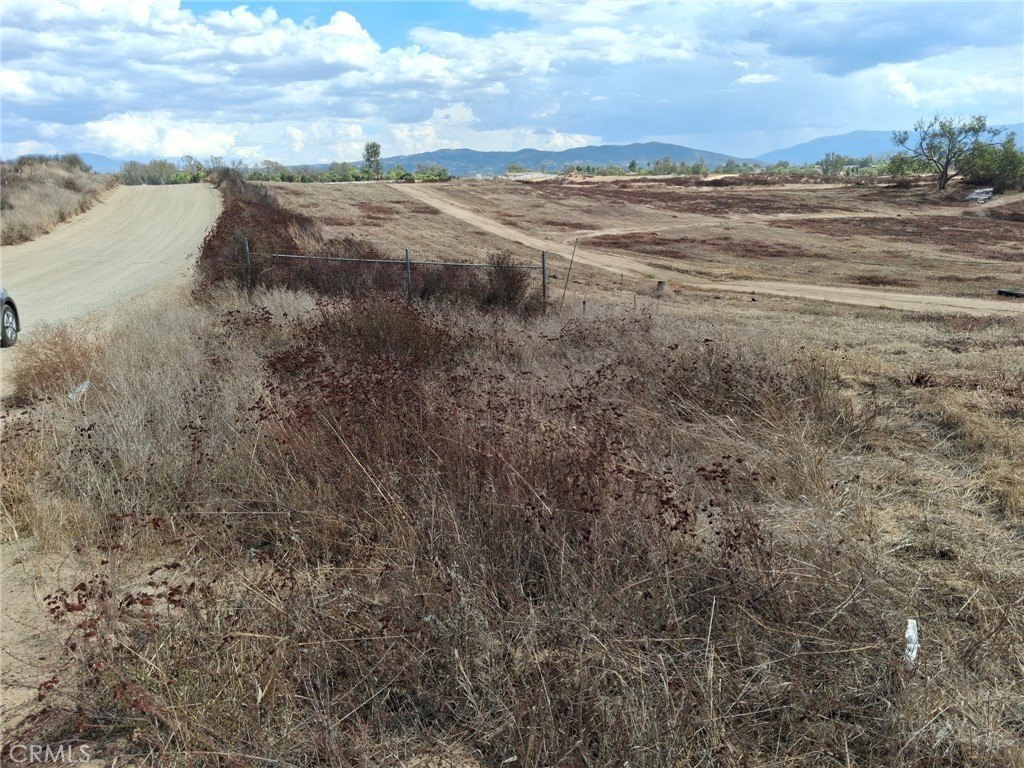 Picture 3