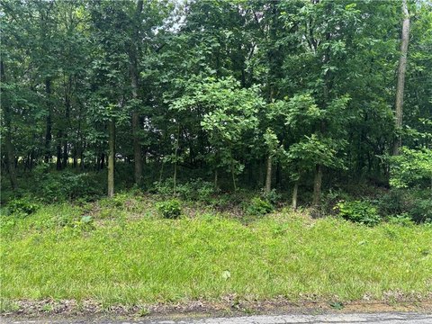 LAND - Altamont, MO