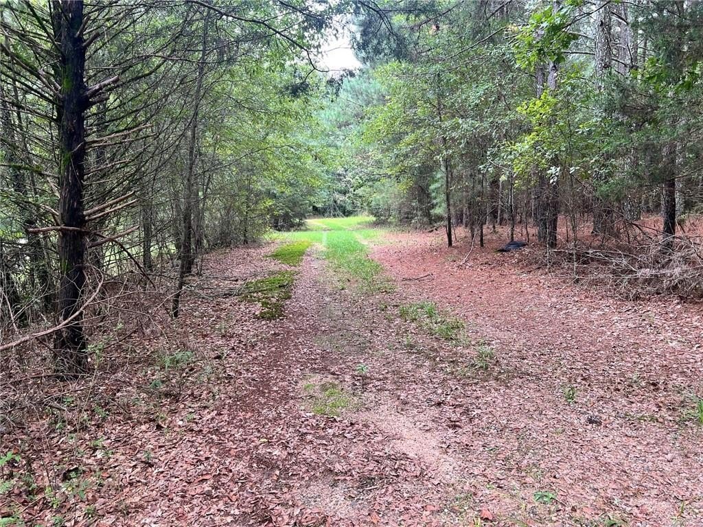 Winder, GA Land with Home