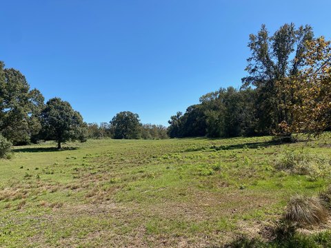 Recreational Ranch Land Tract